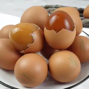 파손보상 알참참 HACCP인증 구운계란 60구
