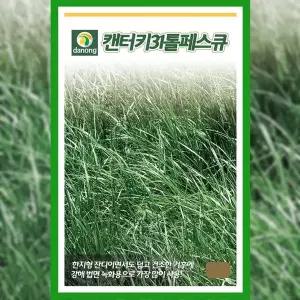 [파머씨드]잔디 씨앗 켄터키 31 톨페스큐 1kg 목초 종자 녹화 토양