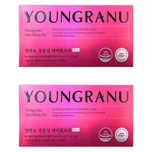 [영라뉴] 장용성 파비플로라 PRO 440mg x 14캡슐 2박스-SDL-
