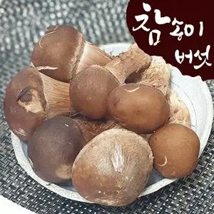[푸른들][산지직송] 국내산 참송이버섯 1kg (상/못난이 랜덤)