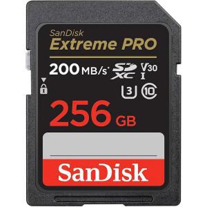 샌디스크 256GB 익스트림 프로 SDXC UHS-I 메모리 카드 - C10 U3 V30 4K UHD SD SDSDXXD-256G-GN4IN 다크 그레이 / 블랙
