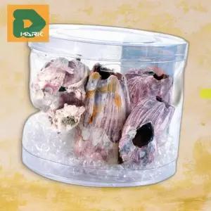 수조장식용품 조개 어항장식품 꾸미기 조형 장식물 돌 (16517937)