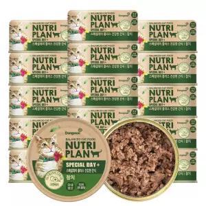 동원 뉴트리플랜 스페셜데이 90g x 48캔 고양이캔 고양이간식 습식캔