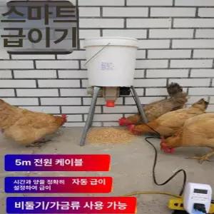 자동 병아리 모이통 정량 새장 뾰족 씽크홀 연장 먹이 타이머 급여 사료삽 만들기 빨간닭