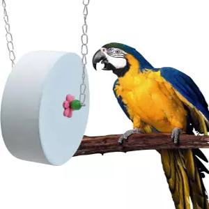 BinggePet 새 부리 갈기 돌 - 금속 체인이 달린 대형 블루 실린더 앵무새 씹기 장난감 Macaws African