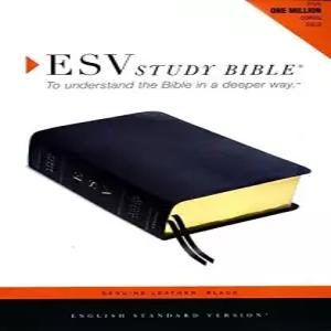 ESV 성경 공부 엄지손가락 인덱스가 있는 검은색 순정 가죽