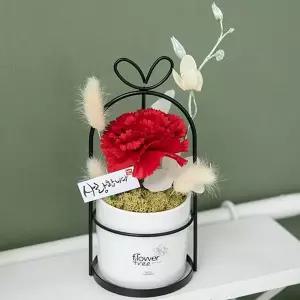 플라워트리 카네이션 조화 화분 미니새장set 24cm 2컬러 꽃 어버이날 스승의날 테이블 장식 감사 선물 행사