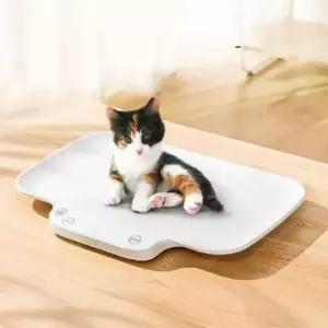 반려묘 체중계 고양이 반려견 동물병원 저울 몸무게 소형