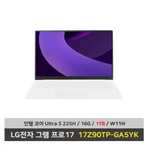 LG전자 그램17 노트북 17Z90T-GA5YK 울트라5 SSD1TB교체/16G/Win11탑재 무선마우스+패드 - KW