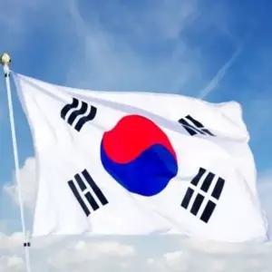 태극기 광복절 대형 국기 게양용 응원용 실외용 깃대용태극기