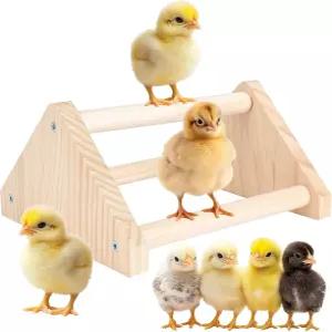 비니크리르 닭장 농어 - 병아리를 위한 액세서리 및 용품 천연 단단한 소나무 손 광택 새 앵무새를