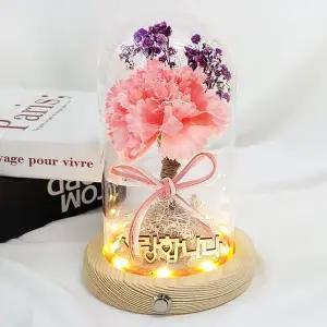 더라임코리아 핑클 카네이션 유리돔 무드등 DIY 키트 어버이날 선물