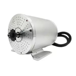 유안다이 48V 2000W 4500RPM 전기 스쿠터 BLDC 모터 MY1020 액세서리 부품 타입 실버