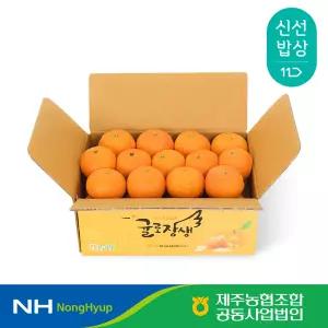 [제주농협] 귤로장생 카라향 2kg 소과(17-25입)
