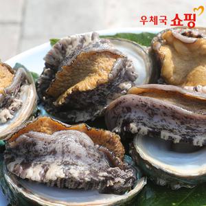 [우체국쇼핑] 더욱 신선한 바다마을 완도 특대활전복 1kg(9-10미),왕특대활전복 1kg(6-7미))
