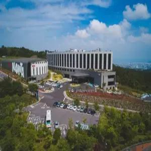 [제주 호텔] 호텔난타 제주 (제주공항 동부(제주시청,탑동,건입동),추자도)