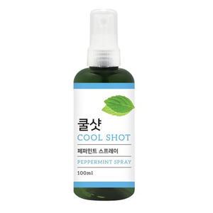 더허브샵 쿨샷 페퍼민트 스프레이 쿨링효과 아로마 멘톨함유