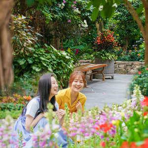 [경주] 동궁원 입장권(5/1~)/경주가볼만한곳/식물/경북/데이트/생태체험관/식물원/벚꽃
