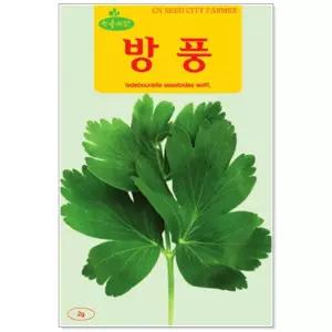 민속씨앗 방풍 2g