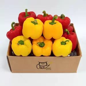 [올즈마켓]빨강 노랑 못난이 파프리카 사이즈/색상랜덤 5kg
