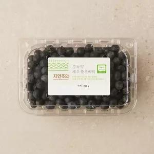 친환경 제주 블루베리 200g/팩