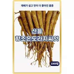 산들 향조은 도라지 씨앗 1000립 생육이 빠른 민속채소 도라지씨 종자