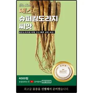 베스트 슈퍼킹 도라지 씨앗 4000립 크기가 크고 수확량이 많은 큰 도라지씨 종자