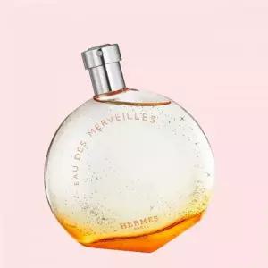 에르메스 퍼퓸 향수 오 드 메르베이 뚜왈렛 100ml 111102070 4404359
