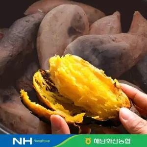 2025 화산농협 해남 황토 꿀고구마 8kg(4kg+4kg)