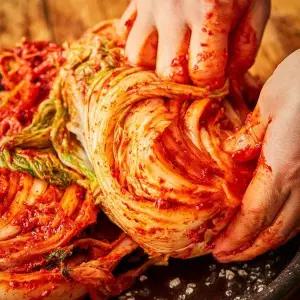갤러리아 전라도 불김치 실비 포기김치 3kg