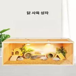 크레스티드게코 레오파드게코 사육장 양서류 조립식 집