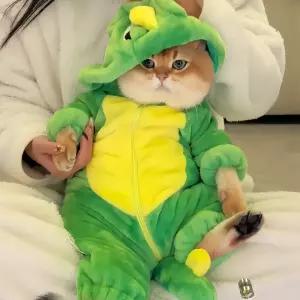 고양이 공룡옷 강아지 애완동물 벨벳 점프슈트 의류 반려동물