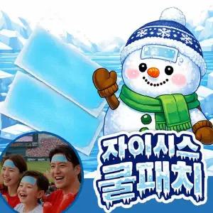 온가족 자이시스 쿨패치 2p KC인증 쿨링시트 냉각시트 냉각패치 아이스쿨패치