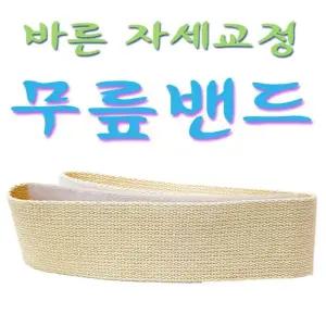 바른자세 밴드 각대 흉곽대 광명 정체요법밴드