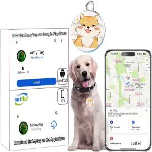 반려견용 추적기-GPS 목줄-GPS 안드로이드 및 iOS 유니버설 월 이용료 없음 방수 모든 함께 작동