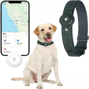 반려견용 2-in-1 GPS 트래커 실시간 추적 기능이 있는 스마트 펫 칼라 월 요금/구독 iOS 전용 방수 분실