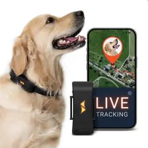 PAZ GPS 개 추적기 - 4G 실시간 및 도주 경고 방수 장거리 스마트 앱 모니터 활동 모든 칼라 미니 디바이스
