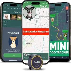 Tracki Dog GPS 트래커 실시간 반려견 반려동물 스마트 알림 지오펜스 방수 칼라 호환 장수명 배터리 iOS