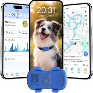 활동 및 웰빙 모니터링이 가능한 반려견용 GPS 트래커 실시간 추적 반려동물 위치 방수 기록 지오펜스