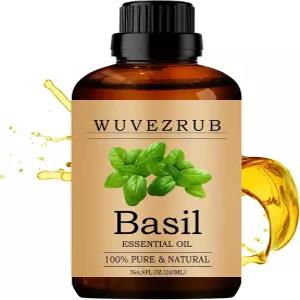 바질 에센셜 오일 240ML 아로마테라피 디퓨저용 100 순수 및 천연 - 8 Fl Oz/Basil