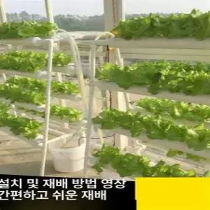 수경 재배기 가정용 채소 실내 식물 타워형