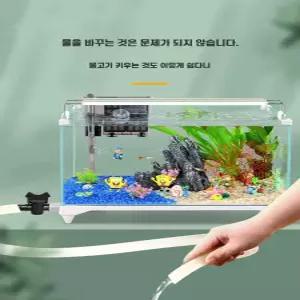 거북이 무환수어항 자동환수세트 키우기 청개구리 여과기