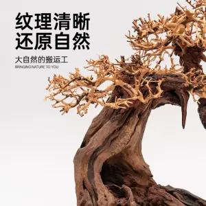 성형유목 만자니타 유목 모스트리 녹각 조경 베트남유목 35x15x20cm 맞춤