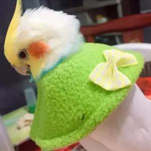 반려 새 앵무새 보호 넥카라목도리 앵무새옷 용품 리본하네스 조류 깃털뽑기 예방 의류 애완 목대 소품 자