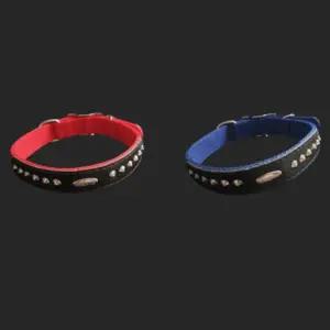 개 목줄 25mm 60cm 파랑 애견 튼튼한튼튼한개 강아지끈 산책 애완견 용품 마당 반려견 튼튼한
