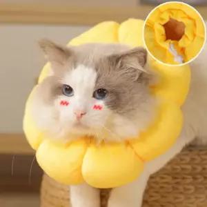 꿀잠 자는 폭신한 해바라기 넥카라 강아지 고양이 중성화 수술후 긁음방지 쿠션