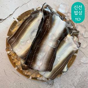 [품질보장]이순신수산 통영 자연산 바다장어 800g 손질후 500g 국내산 붕장어 아나고