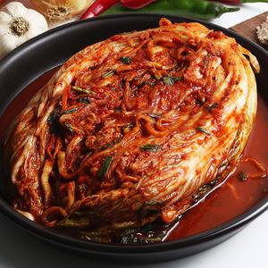 [함평댁] 당일생산 전라도 포기김치 5kg 국내산 100% 배추김치