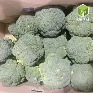 국내산 브로콜리 특 4kg