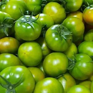 부산 대저 짭짤이 토마토 1kg (2S-3S)